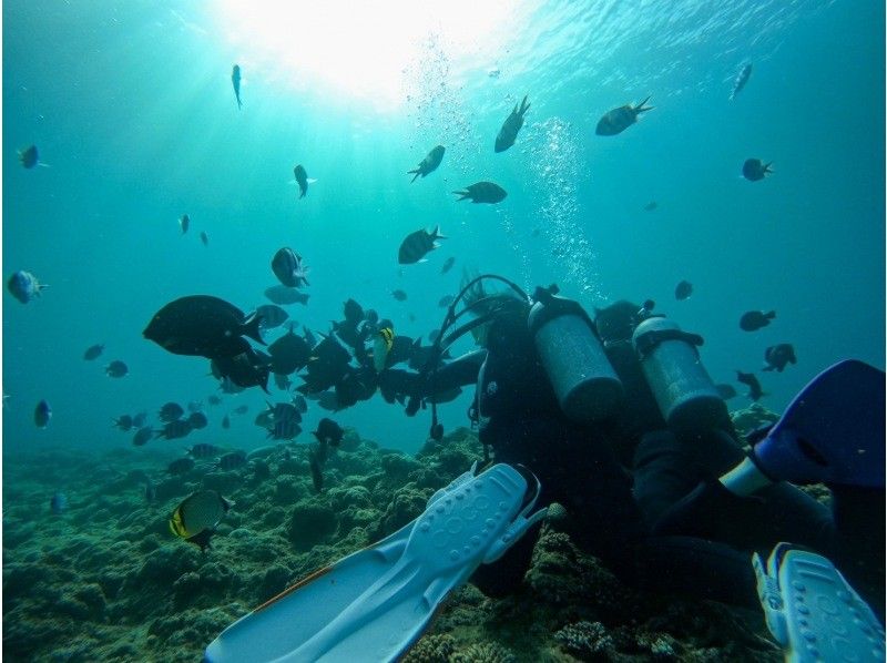 【美ら海SUP＆青の洞窟体験ダイビング欲張りツアー両方真栄田岬近辺開催・時間を最大限に活用【沖縄・恩納村】多言語対応可能!!!の紹介画像