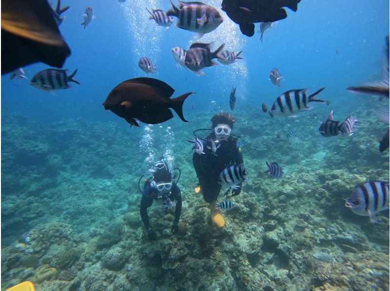 【美ら海SUP＆青の洞窟体験ダイビング欲張りツアー両方真栄田岬近辺開催・時間を最大限に活用【沖縄・恩納村】多言語対応可能!!!の紹介画像