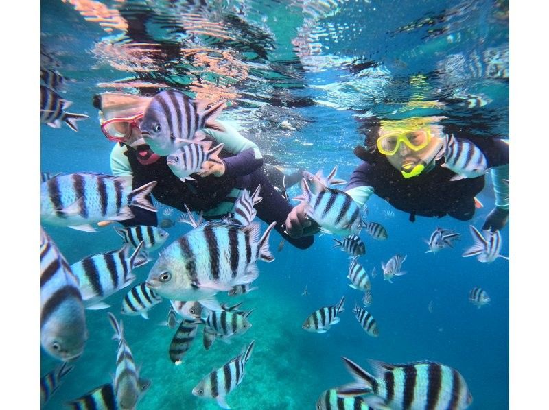 Super Summer Sale 2024! Guaranteed! Snorkeling for those who want to definitely go to the Blue Cave ✨ GoPro filming & feeding experience included [Okinawa, Cape Maeda] English guideの紹介画像