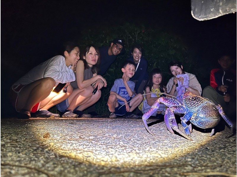 [Okinawa, Yonaguni Island] Enjoy the subtropical island! Night tour to see the creatures and starry skiesの紹介画像