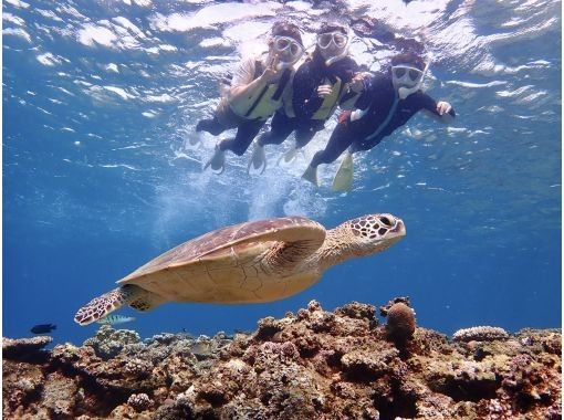 【沖縄県・石垣島】☆5年連続ウミガメ遭遇率100%達成☆6年目も100%継続中☆ウミガメシュノーケリング☆ 【沖縄県・石垣島】☆5年連続ウミガメ遭遇率100%達成☆6年目も100%継続中☆ウミガメシュノーケリング☆