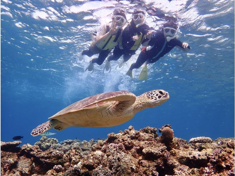 【沖縄県・石垣島】☆５年連続ウミガメ遭遇率１００%達成☆6年目も100%継続中☆ウミガメシュノーケリング☆の紹介画像