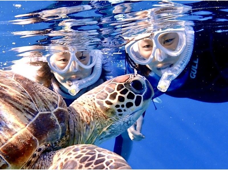 【沖縄県・石垣島】☆５年連続ウミガメ遭遇率１００%達成☆6年目も100%継続中☆ウミガメシュノーケリング☆の紹介画像
