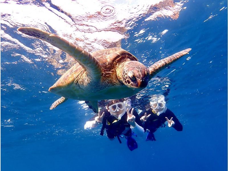 【沖縄県・石垣島】☆５年連続ウミガメ遭遇率１００%達成☆6年目も100%継続中☆ウミガメシュノーケリング☆の紹介画像