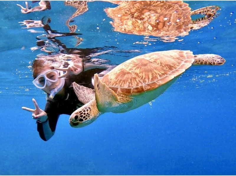 【沖縄県・石垣島】☆５年連続ウミガメ遭遇率１００%達成☆6年目も100%継続中☆ウミガメシュノーケリング☆の紹介画像