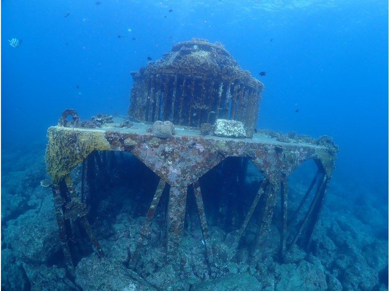 [Near American Village] 1 dive! Chatan boat experience diving! Free video and photo gift!