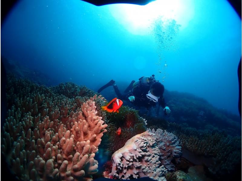 [Near American Village] 1 dive! Chatan boat experience diving! Free video and photo gift!