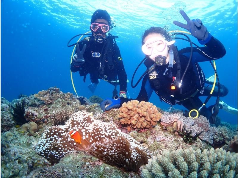 [Near American Village] 1 dive! Chatan boat experience diving! Free video and photo gift!