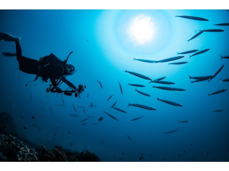ชาตัน บาราคูด้า [หมู่บ้านอเมริกันชาตัน] เรือ Easy Boat FUN2 Dive - ปะการัง x วัตถุประดิษฐ์ x ปลาทะเล! ของขวัญวิดีโอและภาพถ่าย!の紹介画像