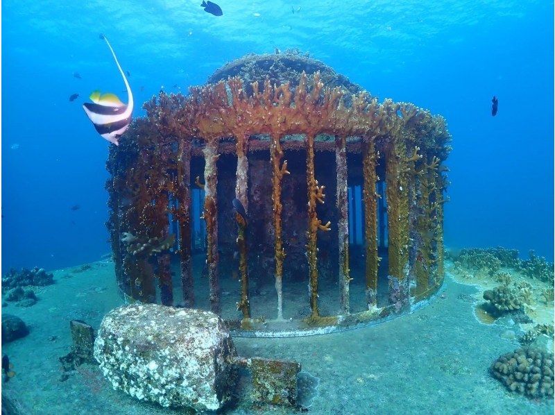 [Near American Village] 1 dive! Chatan boat experience diving! Free video and photo gift!