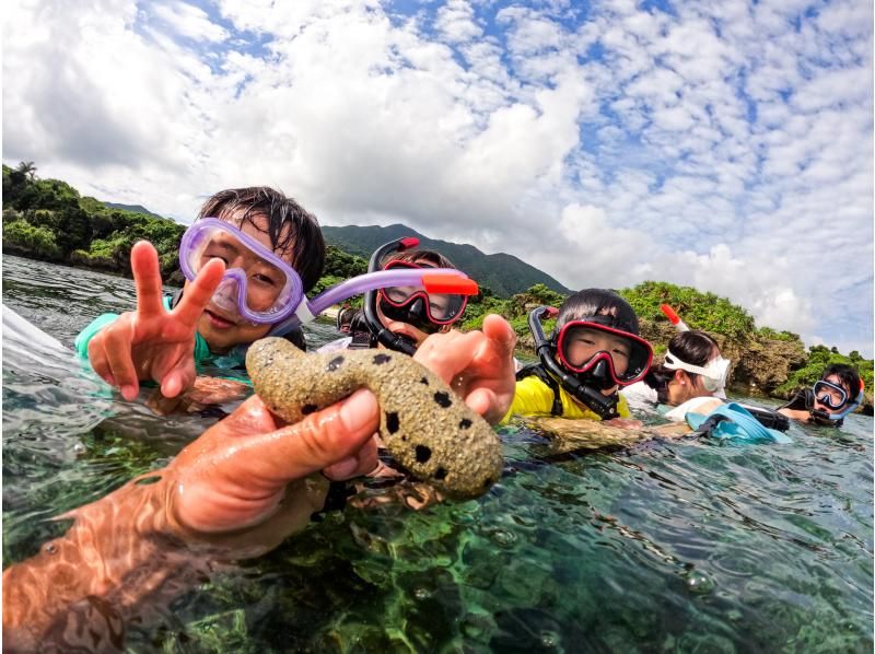 【青の洞窟/竹富島】当日OK！人気スポットをひとまとめ☆ 竹富乗船チケットプレゼント&青の洞窟&遭遇率95％ウミガメシュノ 写真データ無料！の紹介画像