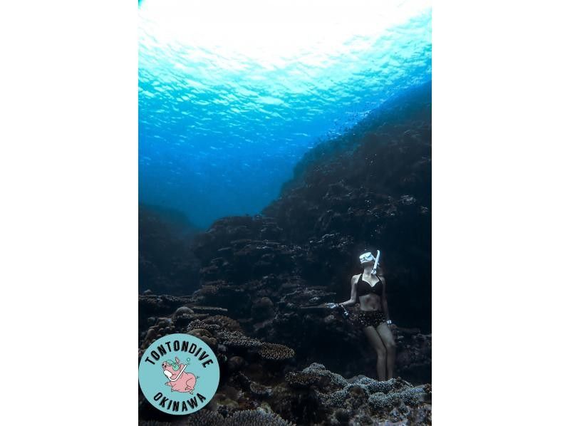 【沖縄・青の洞窟】ビーチエントリー  青の洞窟 スキンダイビングの紹介画像