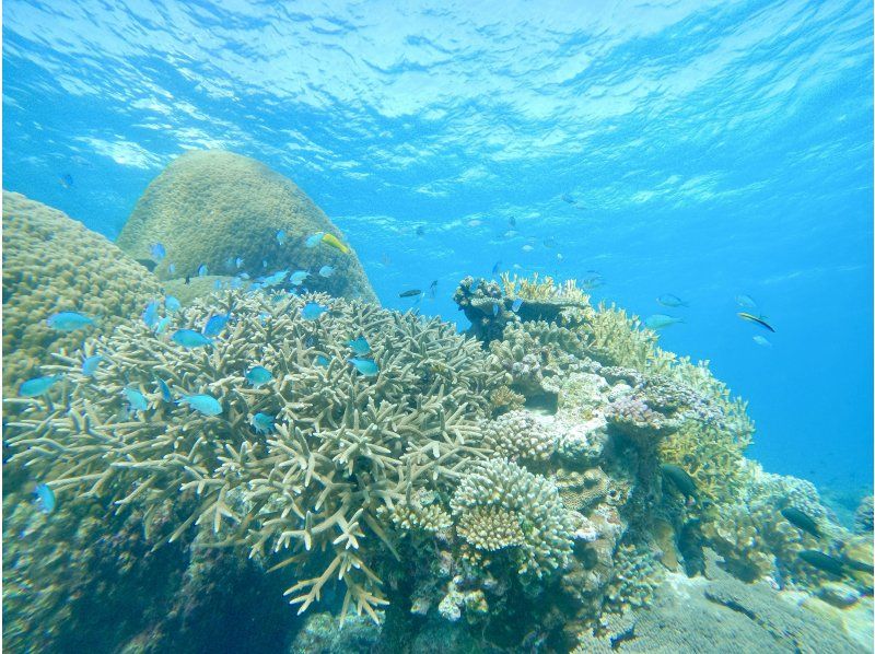 [Departing from Chatan] Fully charter boat for families and groups! Tropical fishing & snorkeling! Free photo rental included! 150 minutes, up to 8 peopleの紹介画像