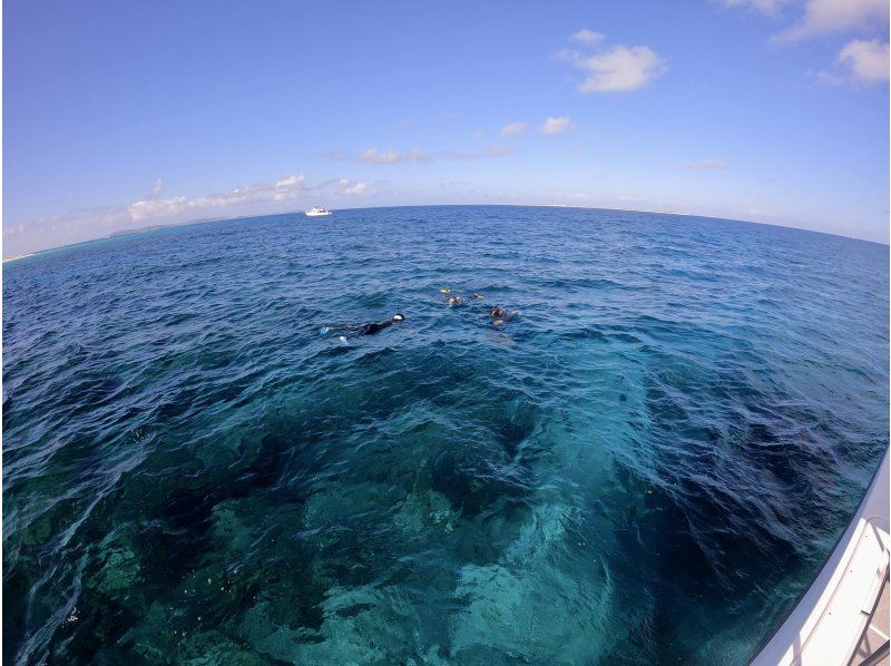 [Departing from Chatan] Fully charter boat for families and groups! Tropical fishing & snorkeling! Free photo rental included! 150 minutes, up to 8 peopleの紹介画像