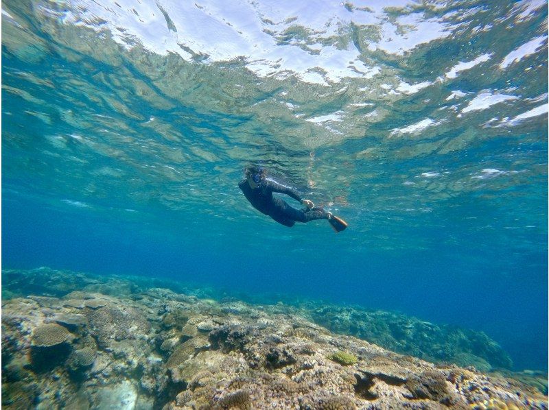 [Departing from Chatan] Fully charter boat for families and groups! Tropical fishing & snorkeling! Free photo rental included! 150 minutes, up to 8 peopleの紹介画像