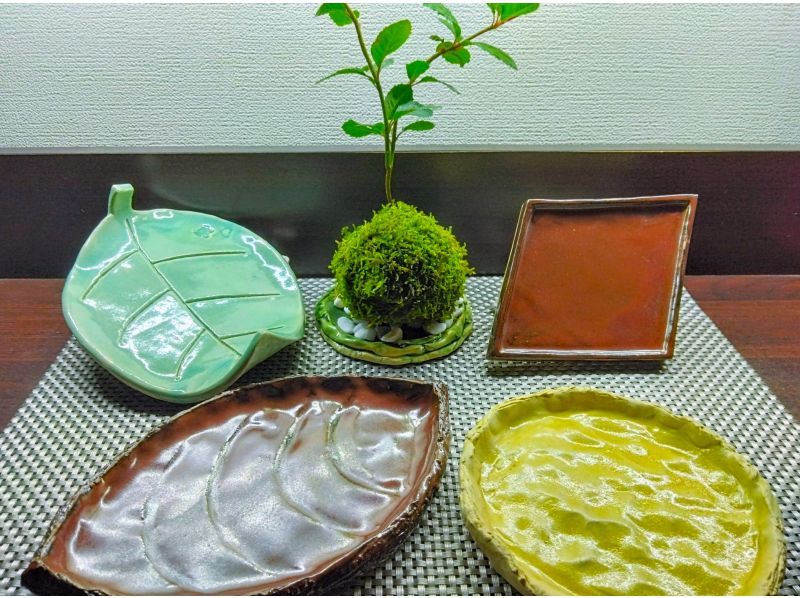 新宿・かわいい苔玉】器で映える☆季節の苔玉づくり♪ 当店人気プラン
