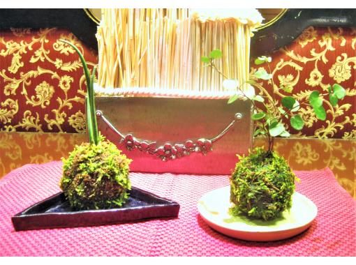 新宿・かわいい苔玉】器で映える☆季節の苔玉づくり♪ 当店人気プラン