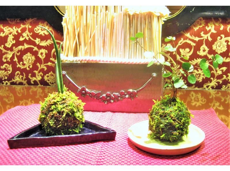 newプラン ｢器｣で映える☆季節の苔玉づくり♪の紹介画像