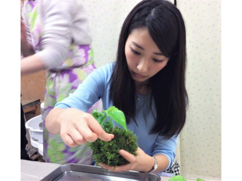 newプラン ｢器｣で映える☆季節の苔玉づくり♪の紹介画像