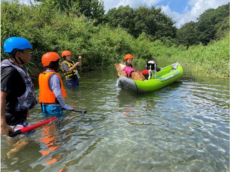 [Saitama, Tokigawa, Arashiyama Town] 1.5 hours from Ikebukuro ♪ SUP down the river! Experience time is 2 hours! Beginners, families, couples, and dogs are all welcome! Tour photos included!の紹介画像