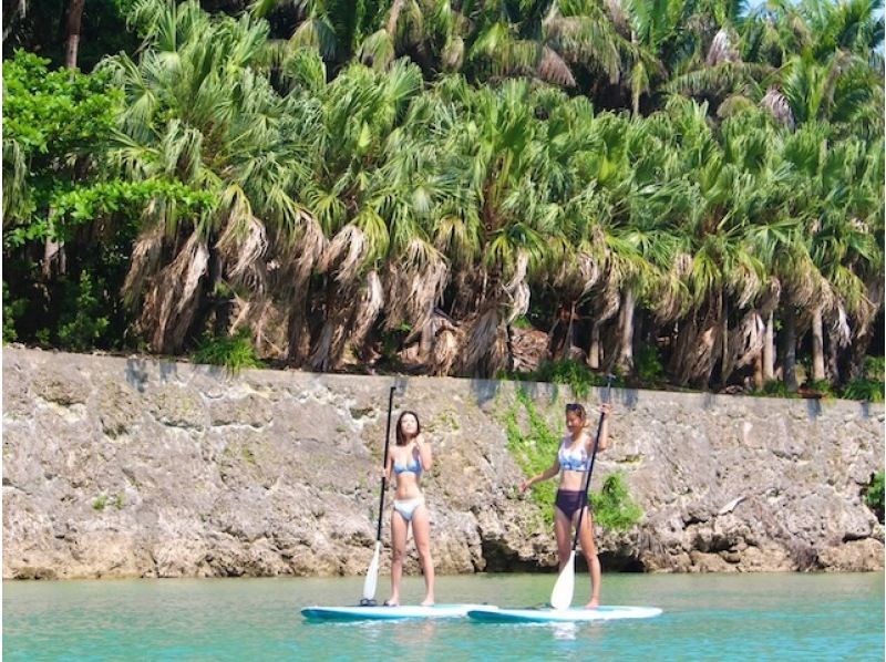 [Irabu Island/half day] Pick-up service available! Miyako blue and mangroves at the same time! Sea mangrove SUP/canoe tour!の紹介画像