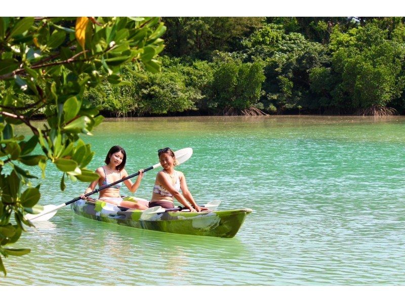 [Irabu Island/half day] Pick-up service available! Miyako blue and mangroves at the same time! Sea mangrove SUP/canoe tour!の紹介画像