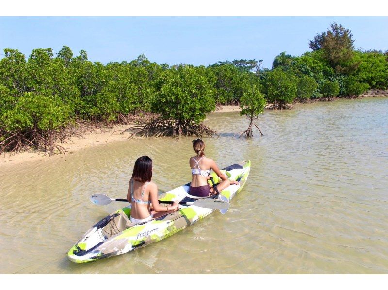 [Irabu Island/Half-day] Pick-up service available! Miyako blue and mangroves at the same time! Sea mangrove SUP/canoe tour! SALE!の紹介画像