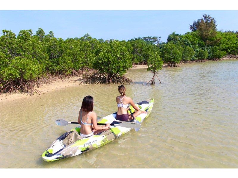 SALE! [Irabu Island/half day] Pick-up service available! Miyako blue and mangroves at the same time! Sea mangrove SUP/canoe tour!の紹介画像