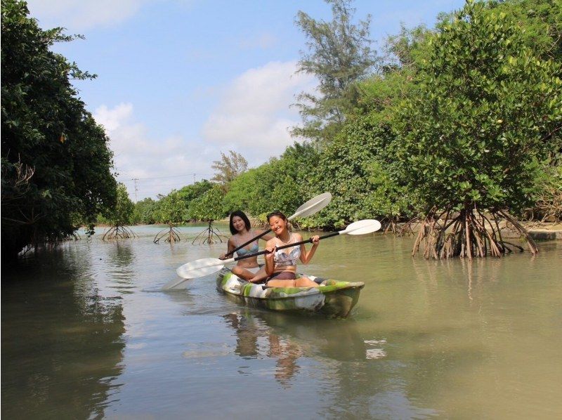 [Irabu Island/Half-day] Pick-up service available! Miyako blue and mangroves at the same time! Sea mangrove SUP/canoe tourの紹介画像