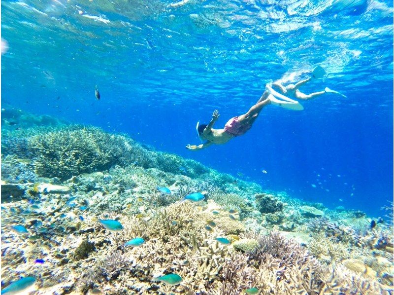 [Miyakojima/Irabujima] Pick-up service available! Blue cave "Sapphire Cave" exploration & snorkeling & stunning beach SUP/canoeing ★ Free photo data!の紹介画像