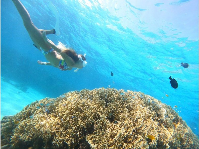 [Okinawa, Manza] Boat entry skin diving (for beginners) 1 diveの紹介画像