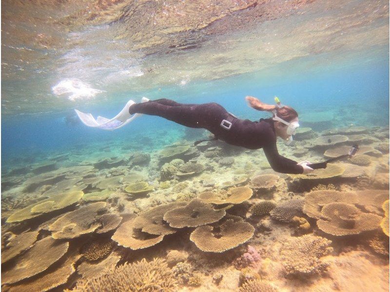 [Okinawa, Manza] Boat entry skin diving (for beginners) 1 diveの紹介画像