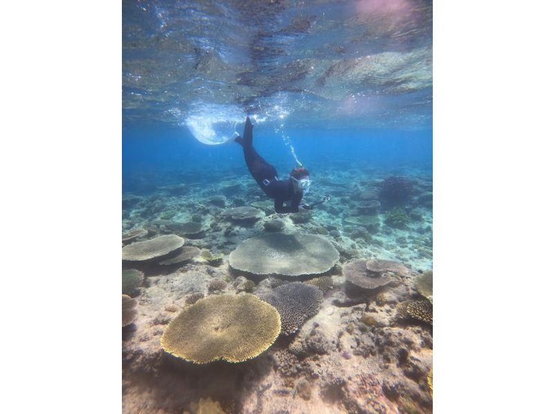 [Okinawa, Manza] Boat entry skin diving (for beginners) 1 diveの紹介画像