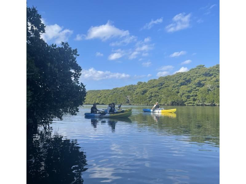 【沖縄・石垣島】宮良川マングローブカヌー体験【グループ貸切プラン】【送迎無料】【１～８名】【写真データ無料】【施設利用料無料】の紹介画像