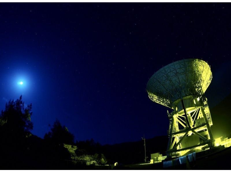 【沖縄・石垣島】星空☆ナイトサファリ【グループ貸切プラン】【送迎付】【幼児参加OK】【1～８名】の紹介画像