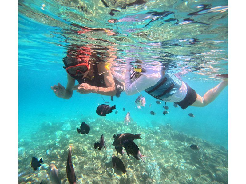 【奄美大島】海からしか行けない⁈コウトリ浜　半日(3時間）プラン！【シュノーケル・SUP・カヤック遊びたい放題！】の紹介画像