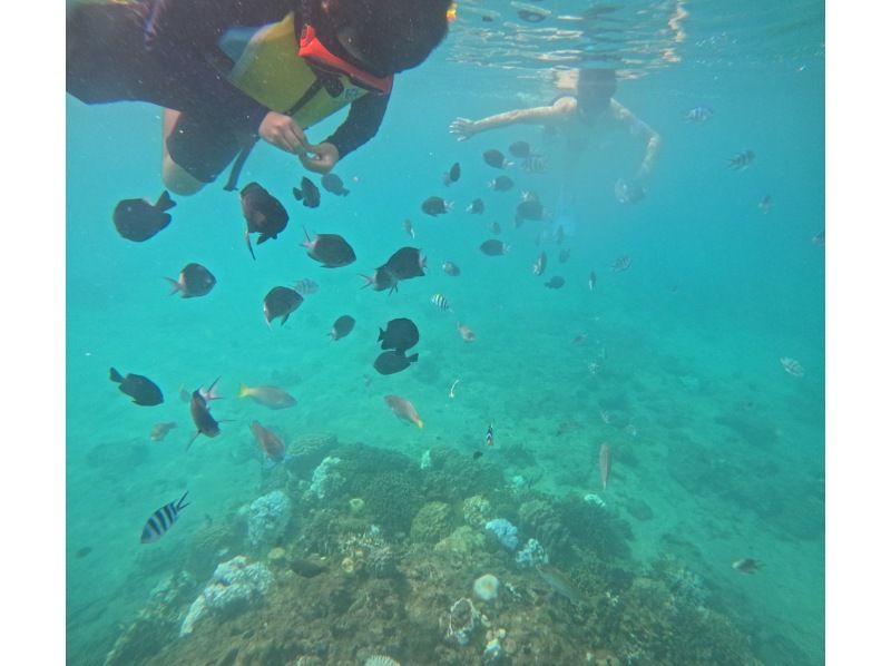 SALE！【奄美大島】【当日予約OK！】海からしか行けない⁈コウトリ浜　半日プラン！【シュノーケル・SUP・カヤック】撮影データプレゼント！の紹介画像