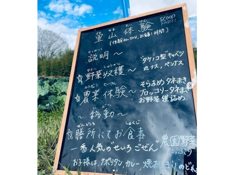 [Chiba, Isumi-gun] Agricultural experience in Satoyama and natural lunch at a farm restaurant!