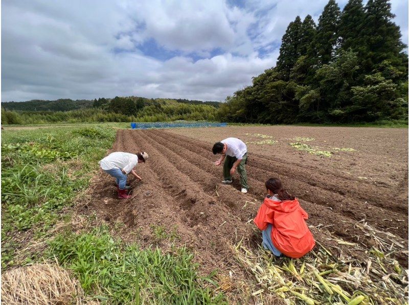[ชิบะ/Sotobo] ประสบการณ์การเกษตรใน Satoyama และอาหารกลางวันตามธรรมชาติที่ร้านอาหารของเกษตรกร! ～สัมผัสประสบการณ์เกษตรกรรมในชนบทและเพลิดเพลินกับอาหารกลางวันที่เต็มไปด้วยผักหลังจากประสบการณ์นี้～の紹介画像