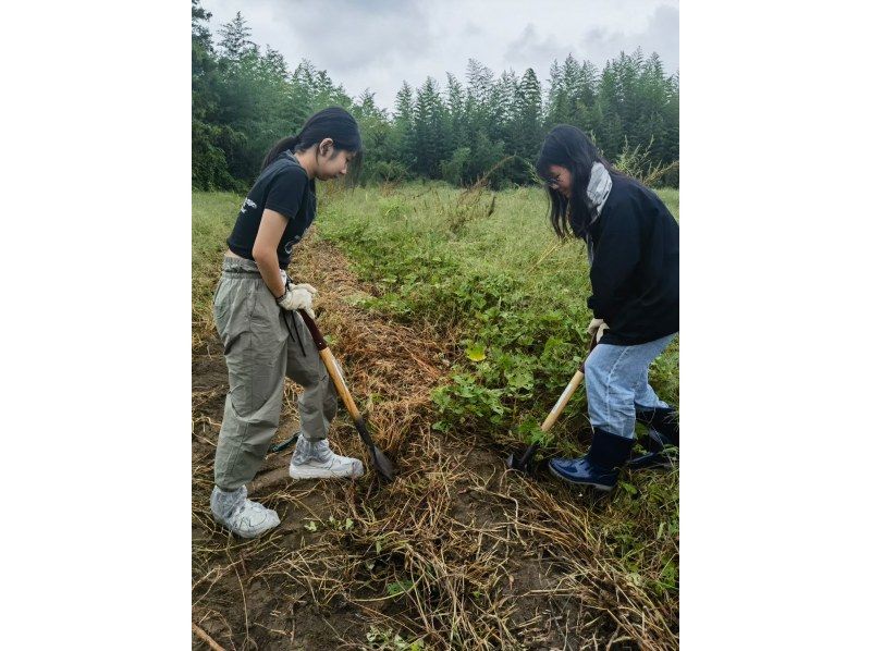 [Chiba, Isumi-gun] Agricultural experience in Satoyama and natural lunch at a farm restaurant!