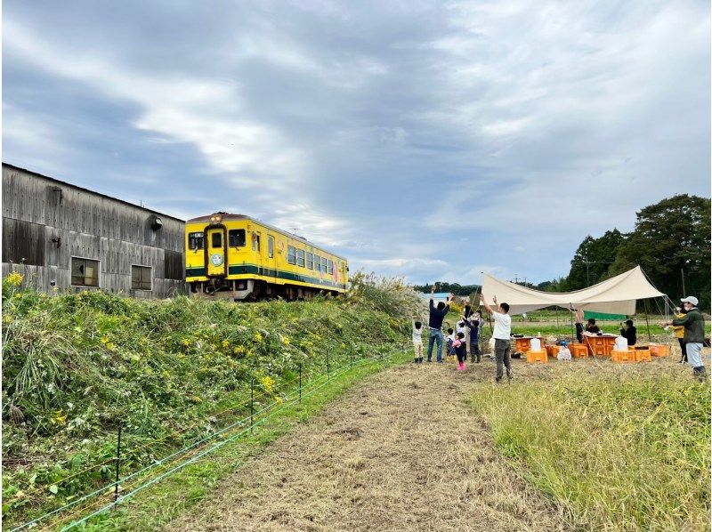 [Chiba, Sotobo] Agricultural experience in Satoyama and natural lunch at a farm restaurant! ~ Experience agriculture in Satoyama and enjoy a lunch full of vegetables after the experience ~の紹介画像