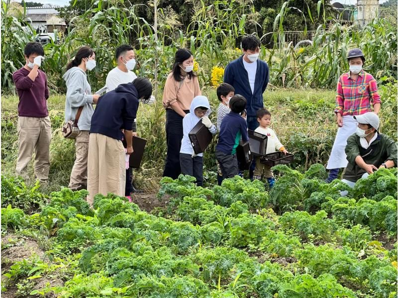 [ชิบะ/Sotobo] ประสบการณ์การเกษตรใน Satoyama และอาหารกลางวันตามธรรมชาติที่ร้านอาหารของเกษตรกร! ～สัมผัสประสบการณ์เกษตรกรรมในชนบทและเพลิดเพลินกับอาหารกลางวันที่เต็มไปด้วยผักหลังจากประสบการณ์นี้～の紹介画像