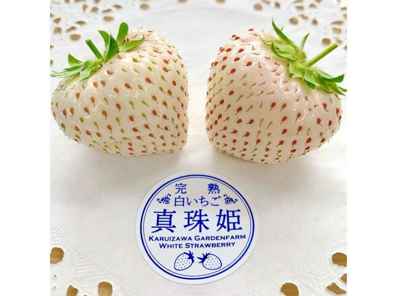 [長野/輕井澤]高級草莓採摘全套課程★全部8個品種確認x 60分鐘x免費補充煉乳x自己採摘的草莓紀念品♪の紹介画像
