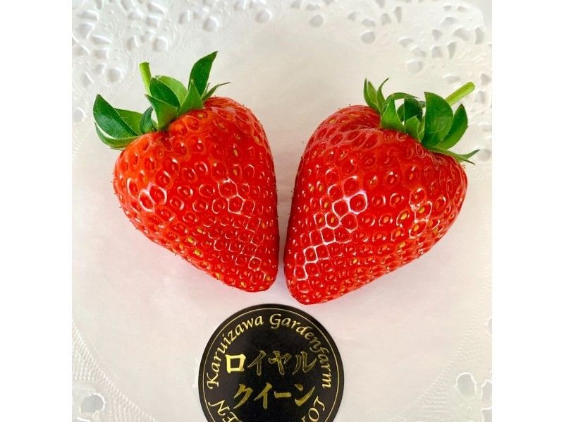 [长野/轻井泽]高级草莓采摘全套课程★全部8个品种确认x 60分钟x免费补充炼乳x自己采摘的草莓纪念品♪の紹介画像