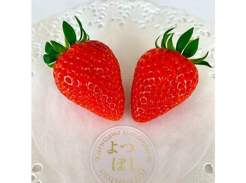 [Nagano/Karuizawa] Complete course: High-grade strawberry picking ★ All 8 varieties confirmed × 60 minutes × Free refills of condensed milk × Comes with a souvenir of the strawberries you picked yourself ♪の紹介画像