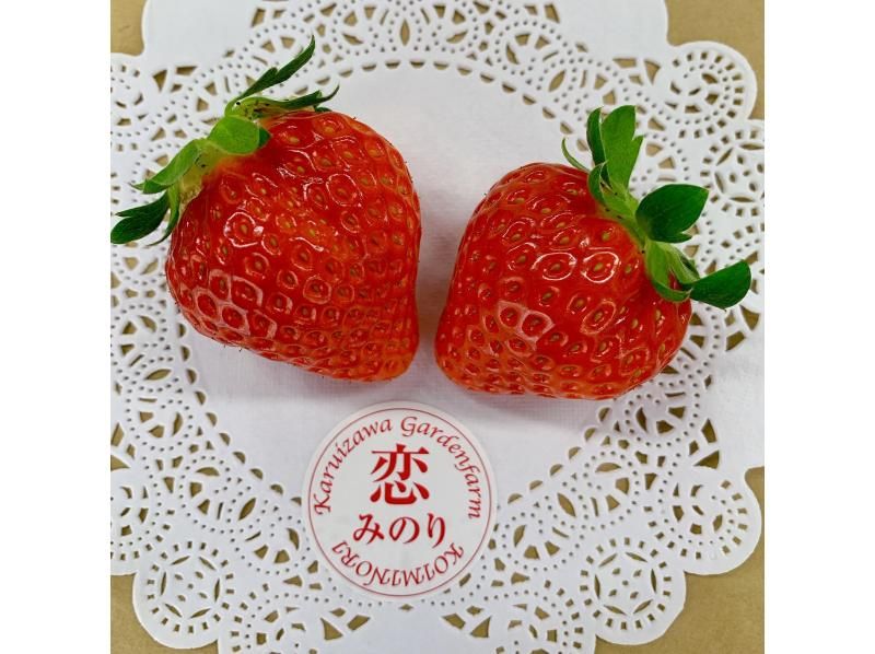[Nagano/Karuizawa] Complete course: High-grade strawberry picking ★ All 8 varieties confirmed × 60 minutes × Free refills of condensed milk × Comes with a souvenir of the strawberries you picked yourself ♪の紹介画像
