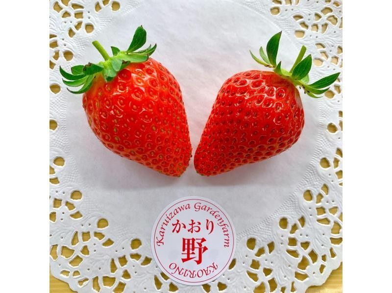 [長野/輕井澤]高級草莓採摘全套課程★全部8個品種確認x 60分鐘x免費補充煉乳x自己採摘的草莓紀念品♪の紹介画像