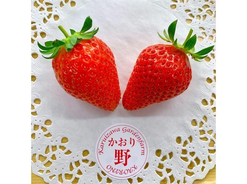 [Nagano/Karuizawa] Complete course: High-grade strawberry picking ★ All 8 varieties confirmed × 60 minutes × Free refills of condensed milk × Comes with a souvenir of the strawberries you picked yourself ♪の紹介画像