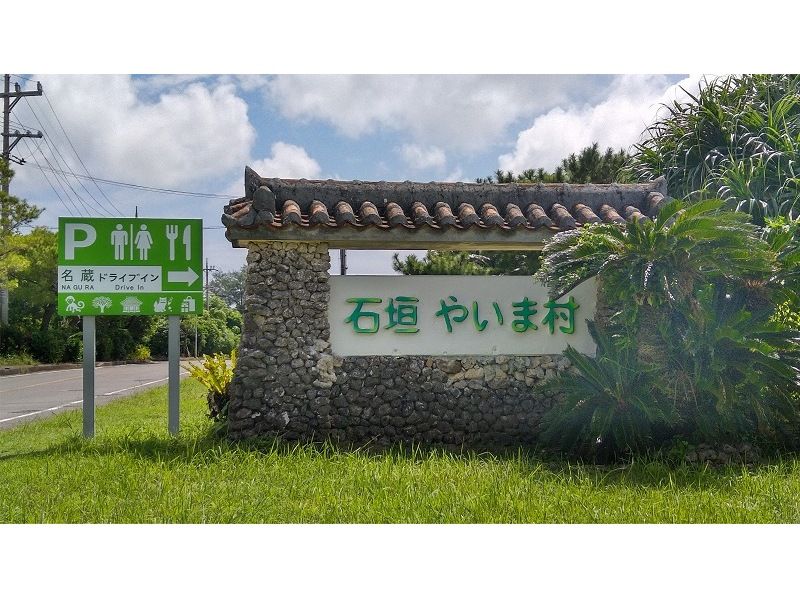 SALE! <Limited Course> Yaima Village Squirrel Monkey Interaction, Nagra Ampar Mangrove SUP & Kayak Tour Free Pick-up ☆ [Okinawa, Ishigaki Island] YSKの紹介画像