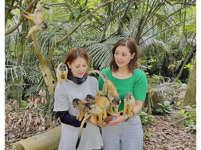 石垣やいま村とは？入場料・アクセス・営業時間・所要時間とチケット付きツアーを紹介！